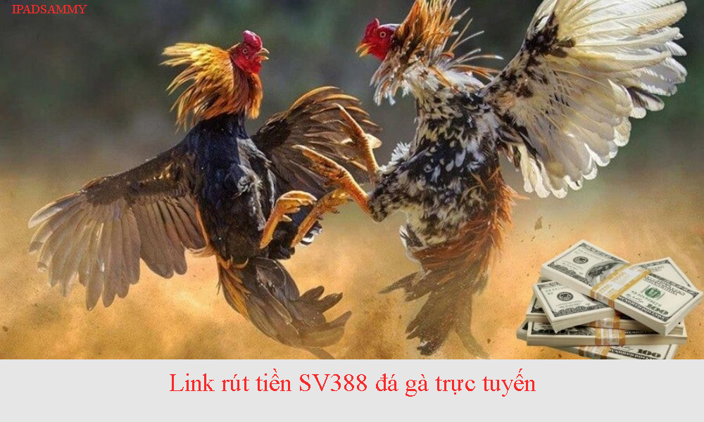 Link rút tiền SV388 đá gà trực tuyến uy tín